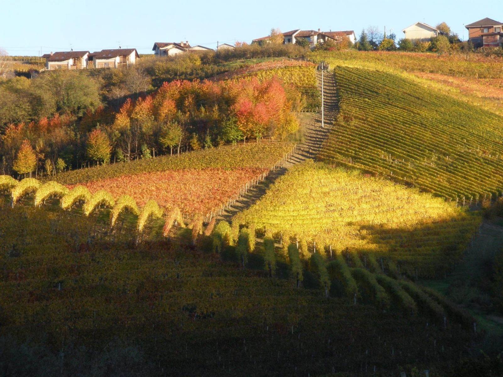 Cascina Delle Rose Villa Barbaresco Exterior photo